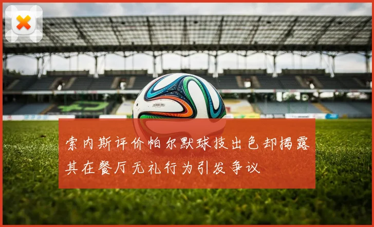 索内斯评价帕尔默球技出色却揭露其在餐厅无礼行为引发争议